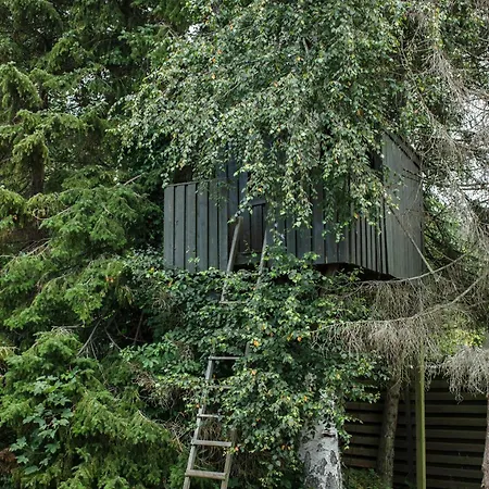 Idyllic In A Beautiful Thatched House Hornbæk